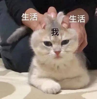 我还有机会吗