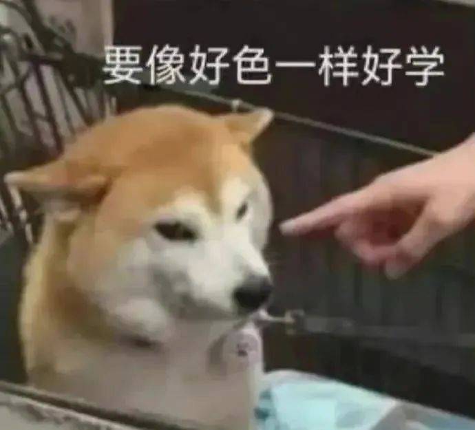 薯你屁话多