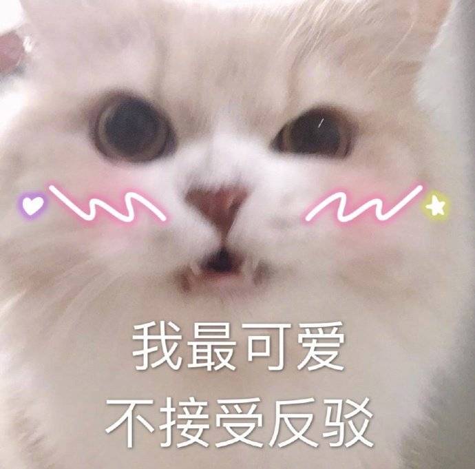 要跟我功夫熊猫比划比划吗表情包