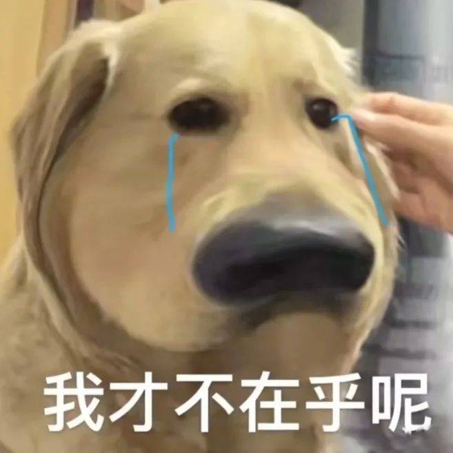 我快乐不起来