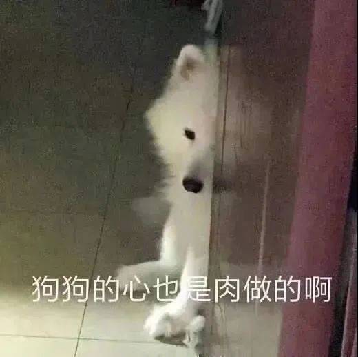 我看你还能说出什么花来