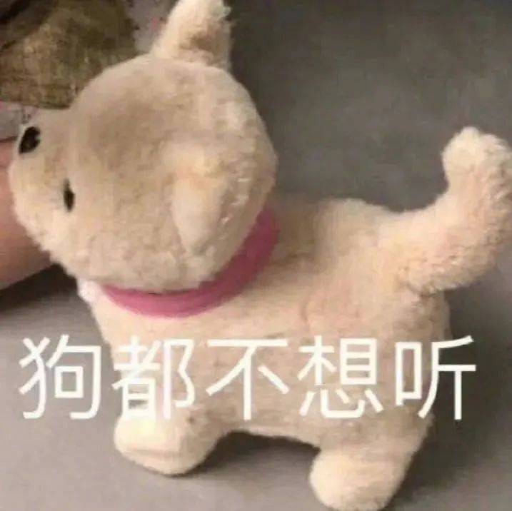 狗都不想听