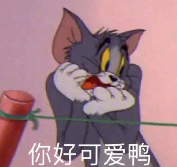 你好可爱鸭表情包