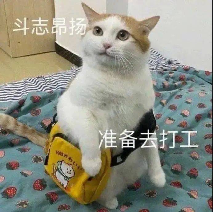 不要这个样子表情包