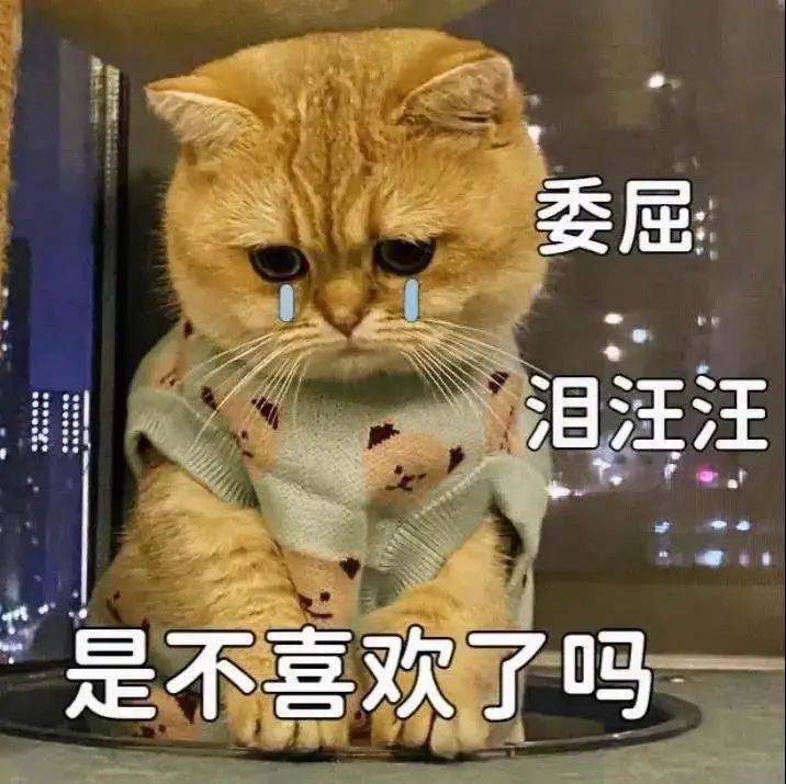 你不要再说了