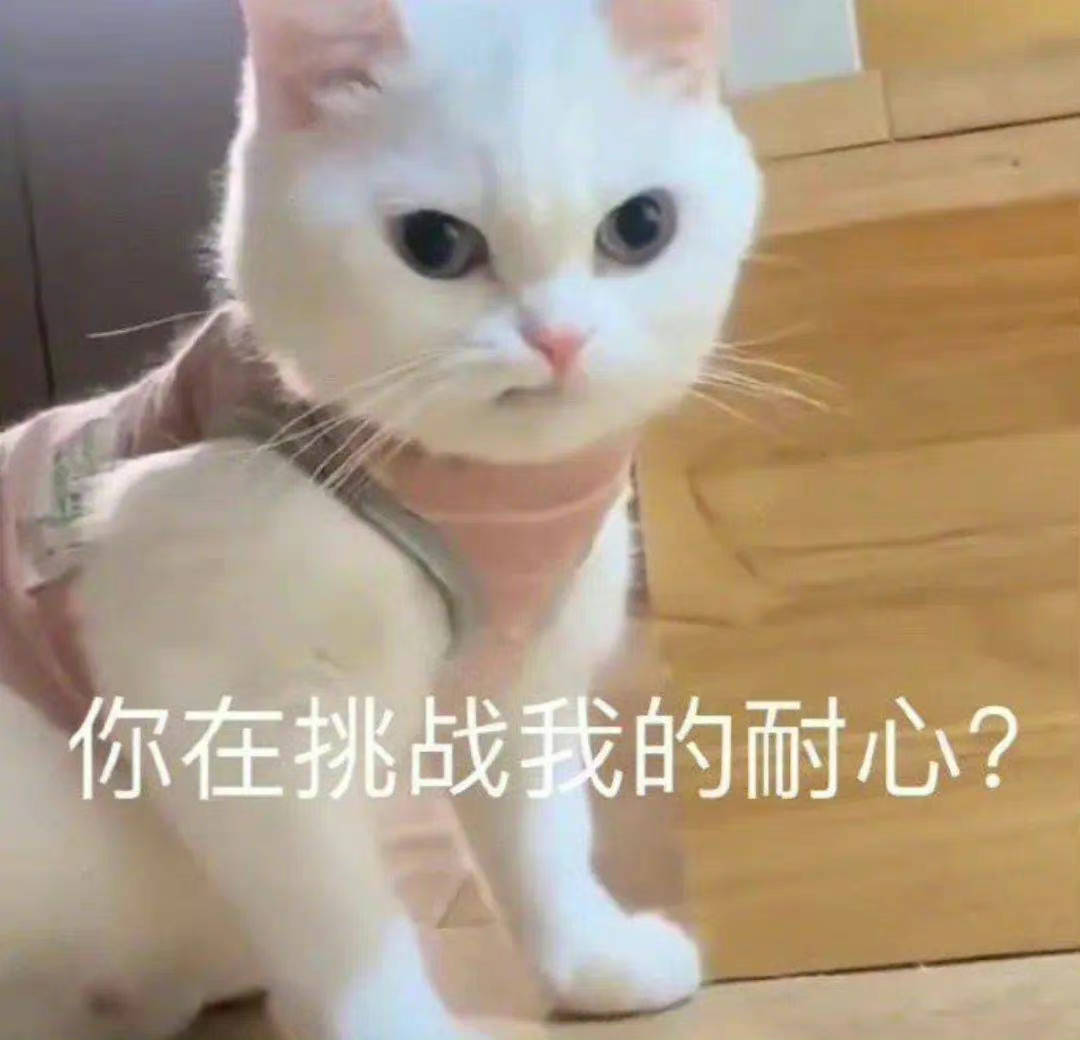 你在挑战我的耐心？表情包