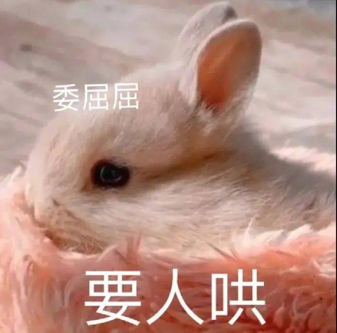 猪拱出来的字？