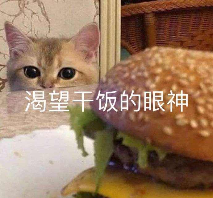 渴望干饭的眼神表情包