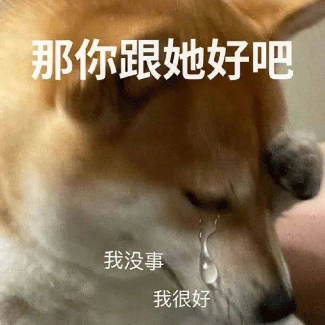 麻了 彻底麻了