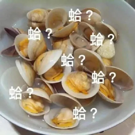 看见这只拖孩了吗？表情包