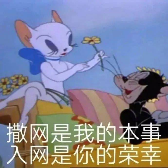 生气了！哄不好的那种