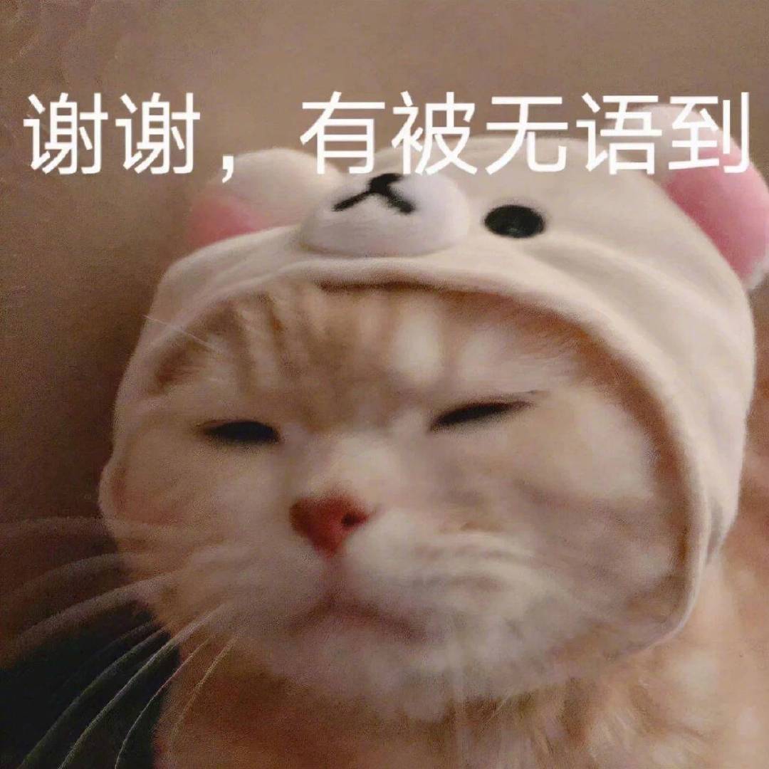 谢谢，有被无语到