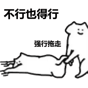 不行也得行