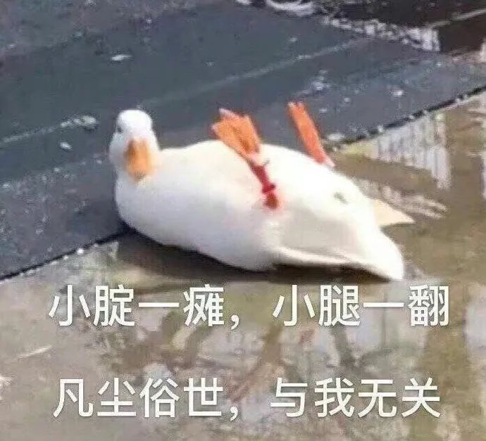 以后我闭嘴表情包