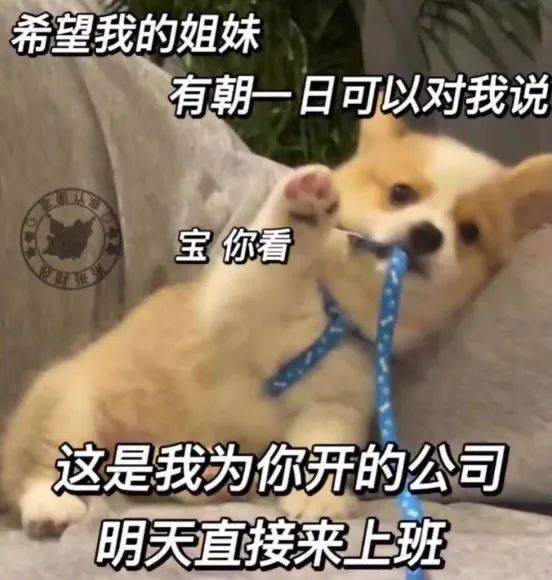 大胆一点  承认你爱我吧