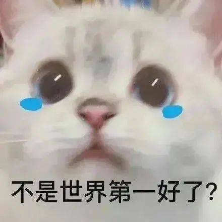 肾虚仔你看什么看