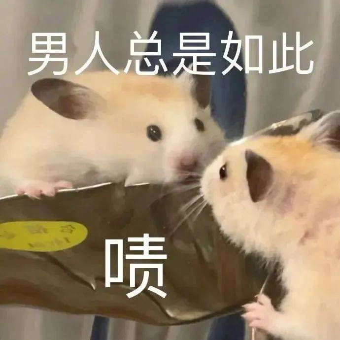 希望我的朋友永远单身