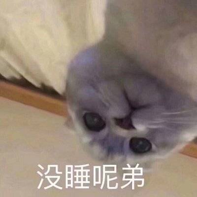 意思是没得谈咯？表情包