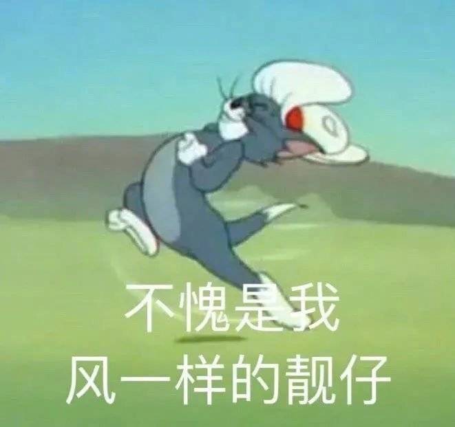 不愧是我 风一样的靓仔表情包