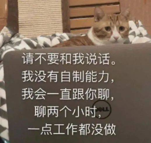 你继续说，我在听表情包