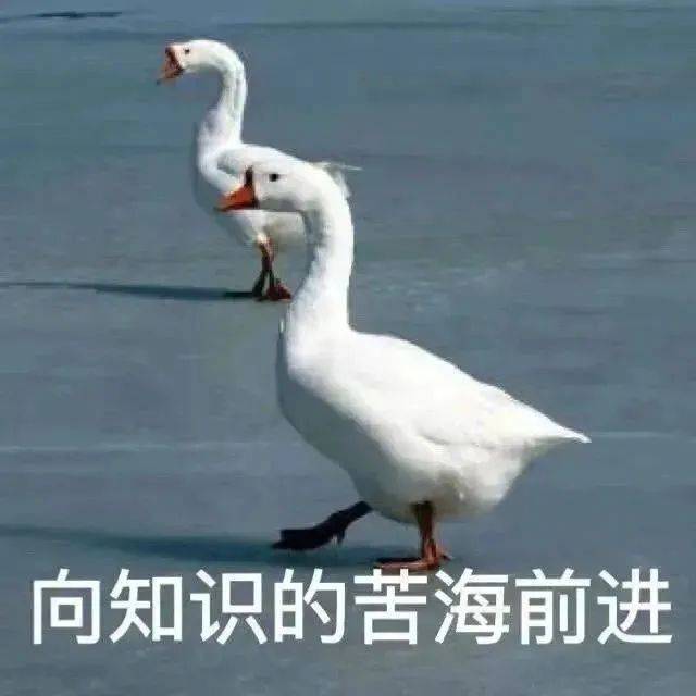 向知识的苦海前进表情包