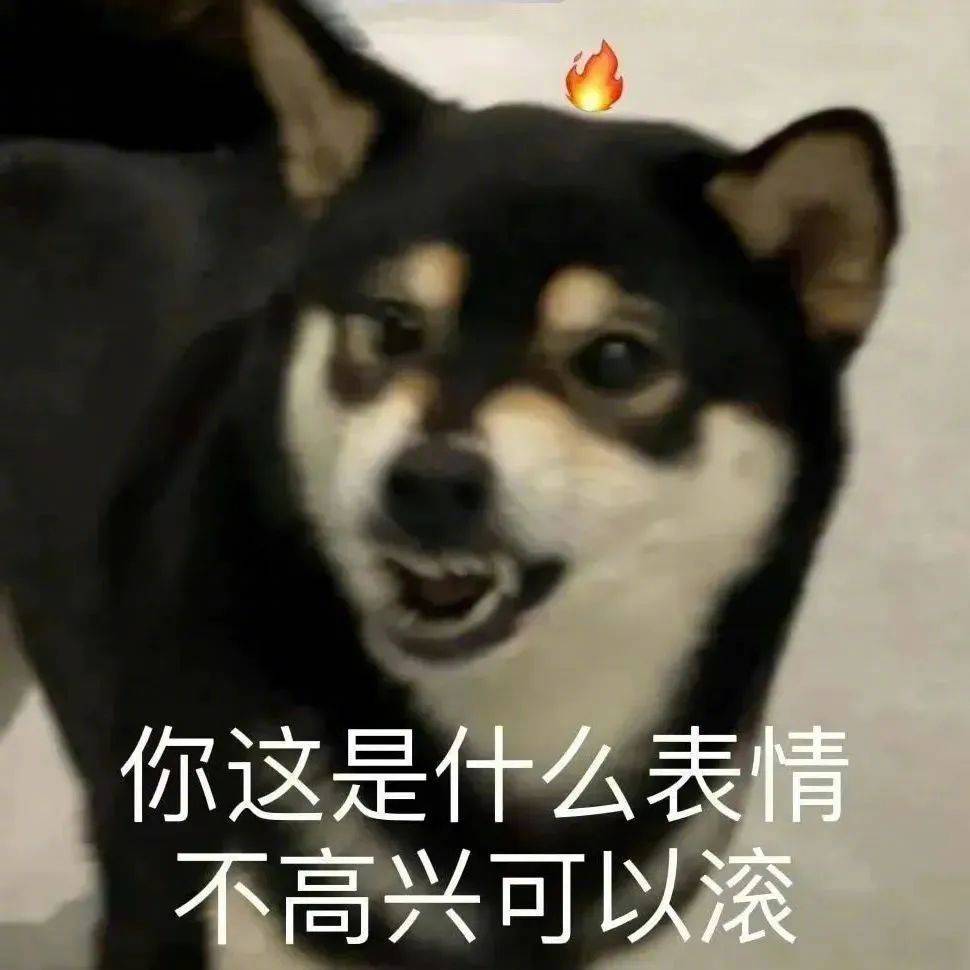 你看哥怎么样表情包