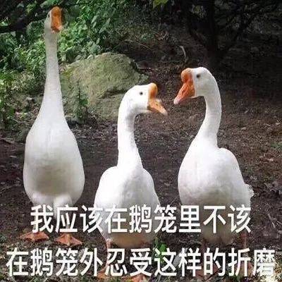 是不是皮痒了  欠揍