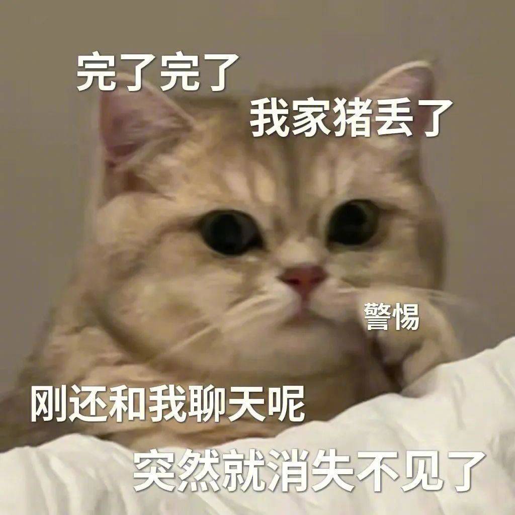 老子一拳锤爆你头表情包