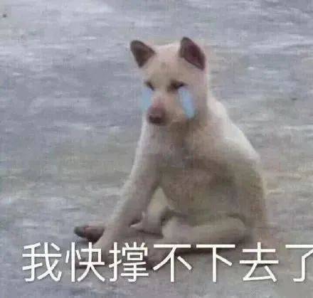 我快撑不下去了