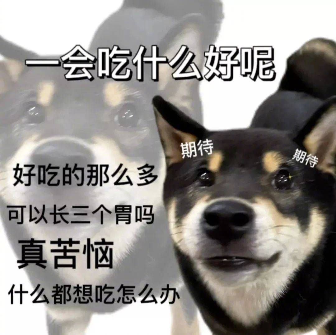 没空听你画大饼表情包