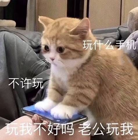 怎么还不说晚安？表情包