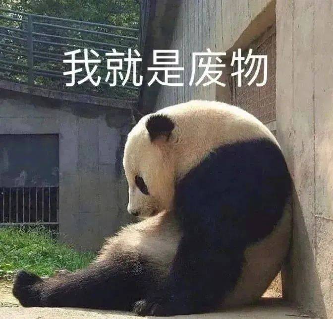 你成功让我心动表情包