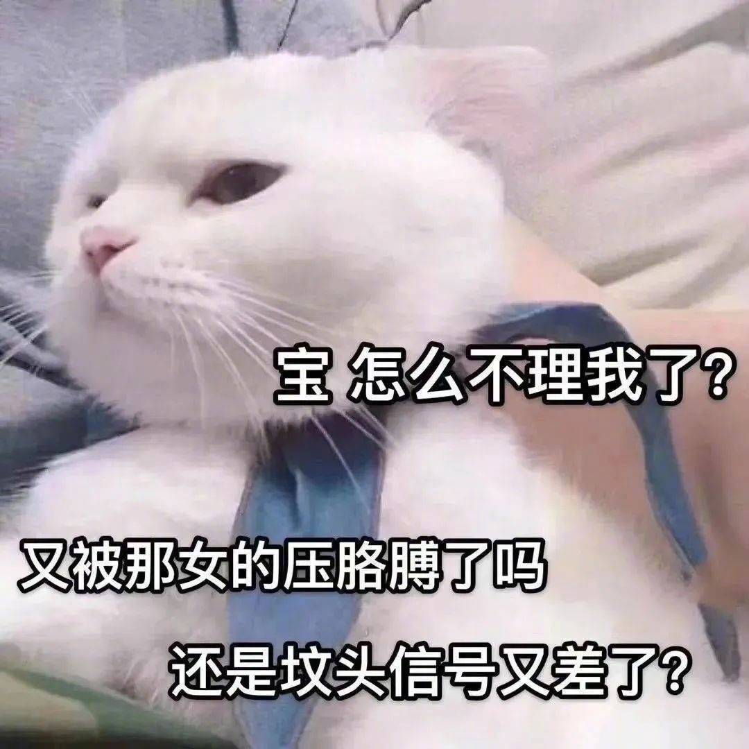 哟 你又在钓鱼呢？表情包