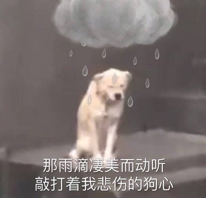 算了 我不想骂人表情包