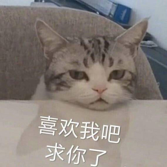 心动指数上升了表情包