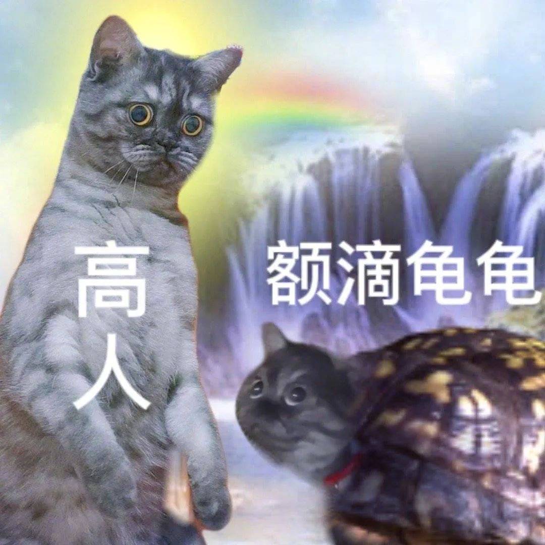 是我的外卖到了表情包