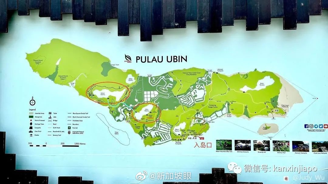 新加坡乌敏岛攻略(最新最全出行攻略！乌敏岛也称PulauUbin)