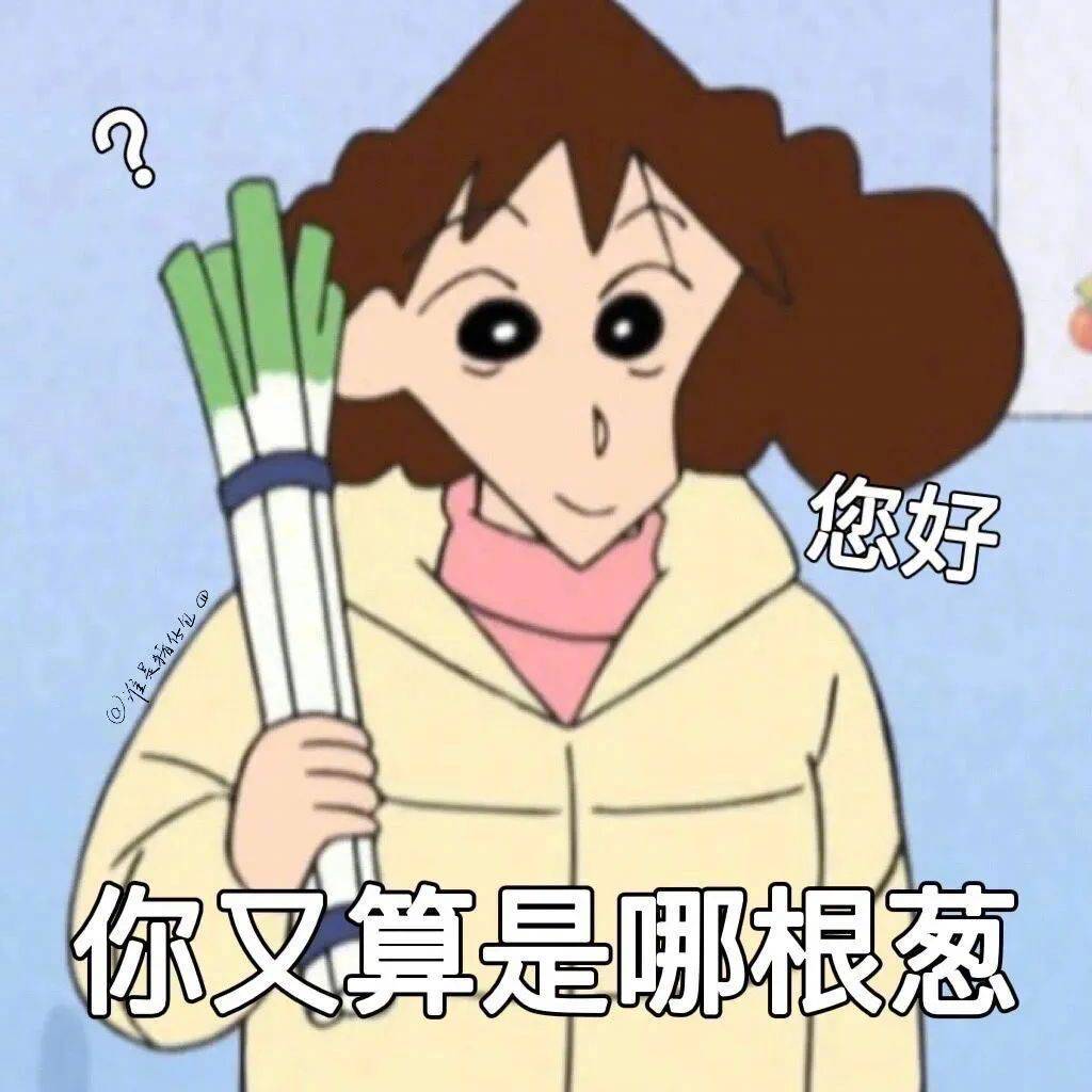 您好 你又算是哪根葱