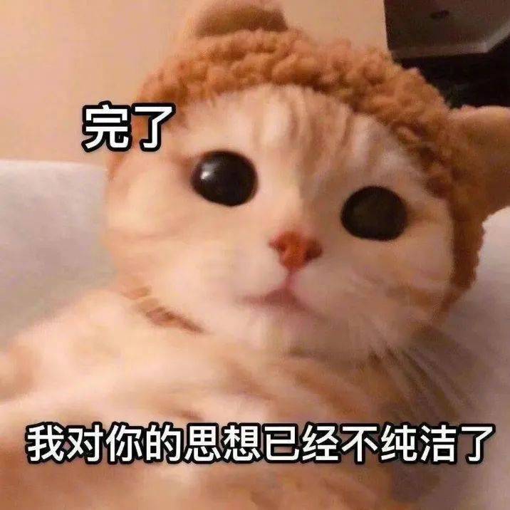 今天的小公举  是我表情包