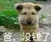 我就是个倒霉蛋表情包