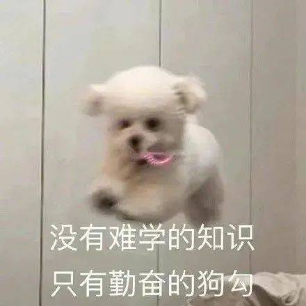 赐我一个对象吧