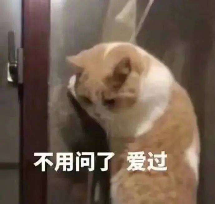 我搞到真的了