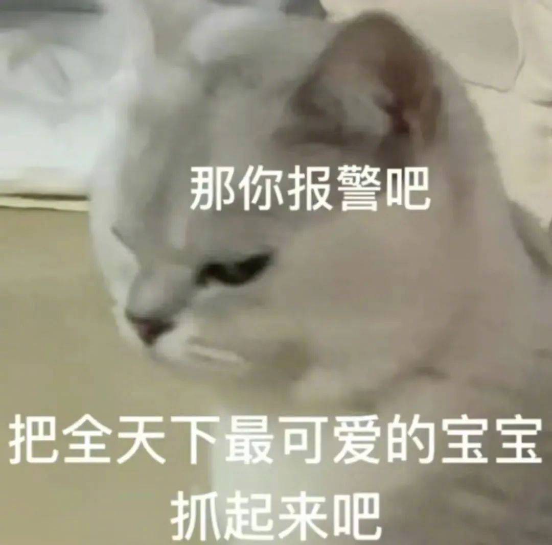 谁啊 这什么狗东西表情包