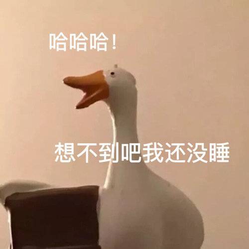 哈哈哈！想不到吧我还没睡表情包