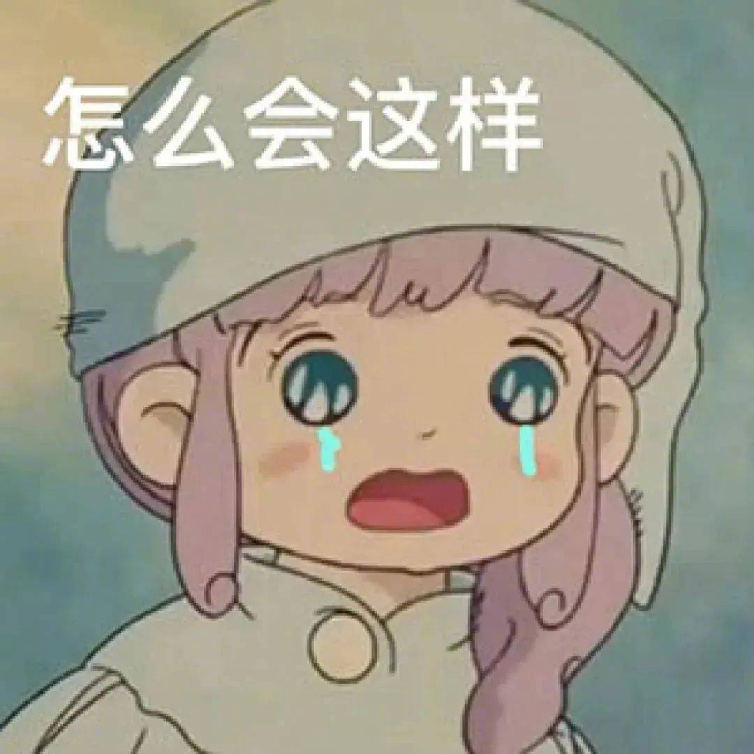 别问  问就是在搬砖表情包