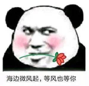 怎么了  我的小宝贝儿表情包