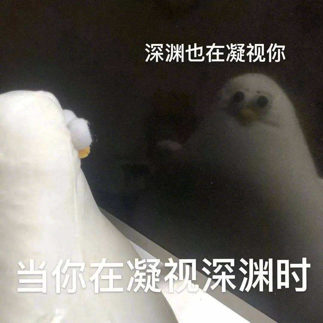 这个人没有脑子的吗？表情包