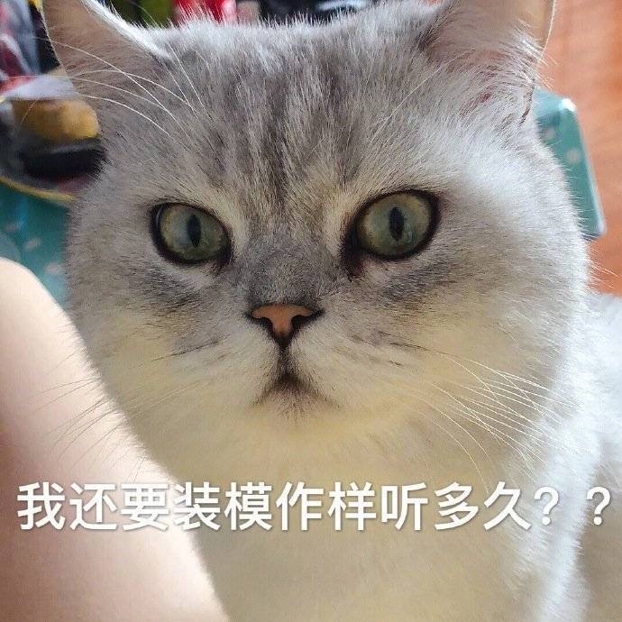 我还要装模做样听多久？？表情包