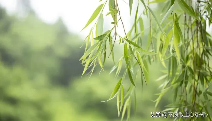 冬奥会闭幕式是2月20号几点钟(昨日（20日）北京冬奥会迎来了闭幕式)