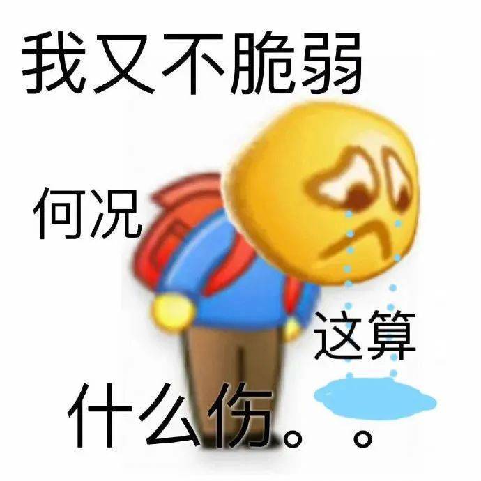 我养你啊 笨表情包